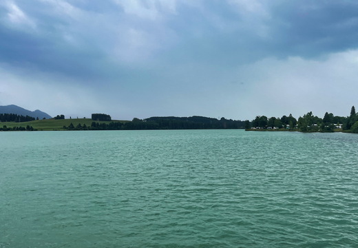 IMG 3994